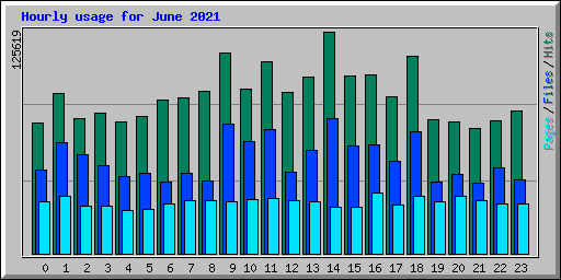 Hourly usage for June 2021